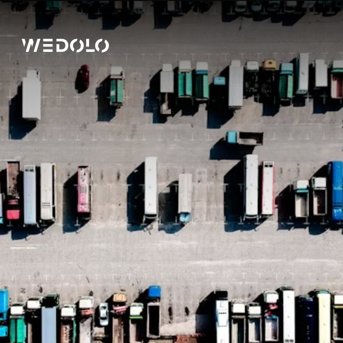 Wedolo-with-logo